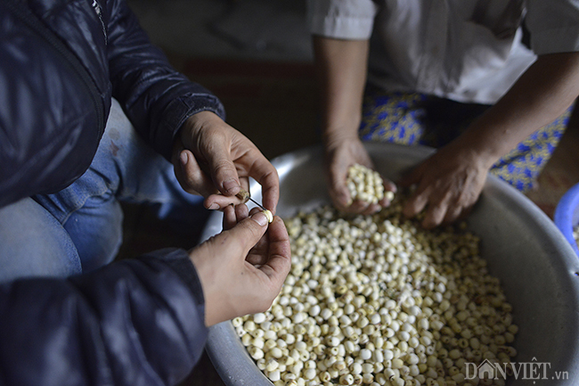 Ước mơ bữa cơm có thịt của gia đình người lùn ở Hưng Yên